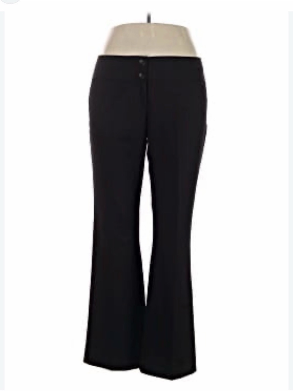Suzie Sheer Women's Dress Pants